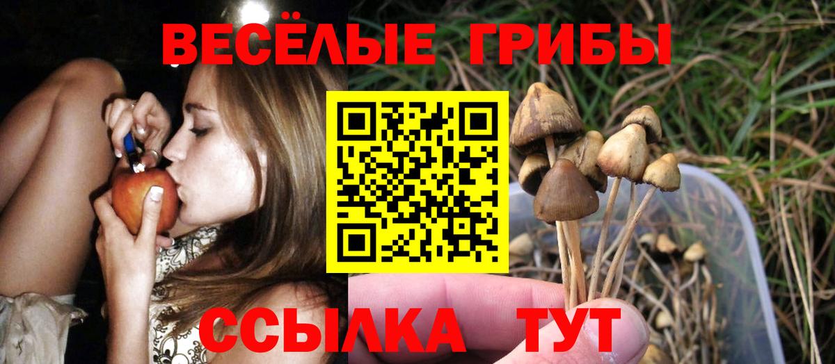 где купить наркоту  Псилоцибиновые грибы прущие грибы  Вход с VPN  Еманжелинск  Галлюциногенные грибы Psilocybe 